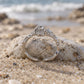 A silver open ring with a clear teardrop-shaped gemstone and small clear stones along the band, resting on a sandy beach with a blurred ocean background.